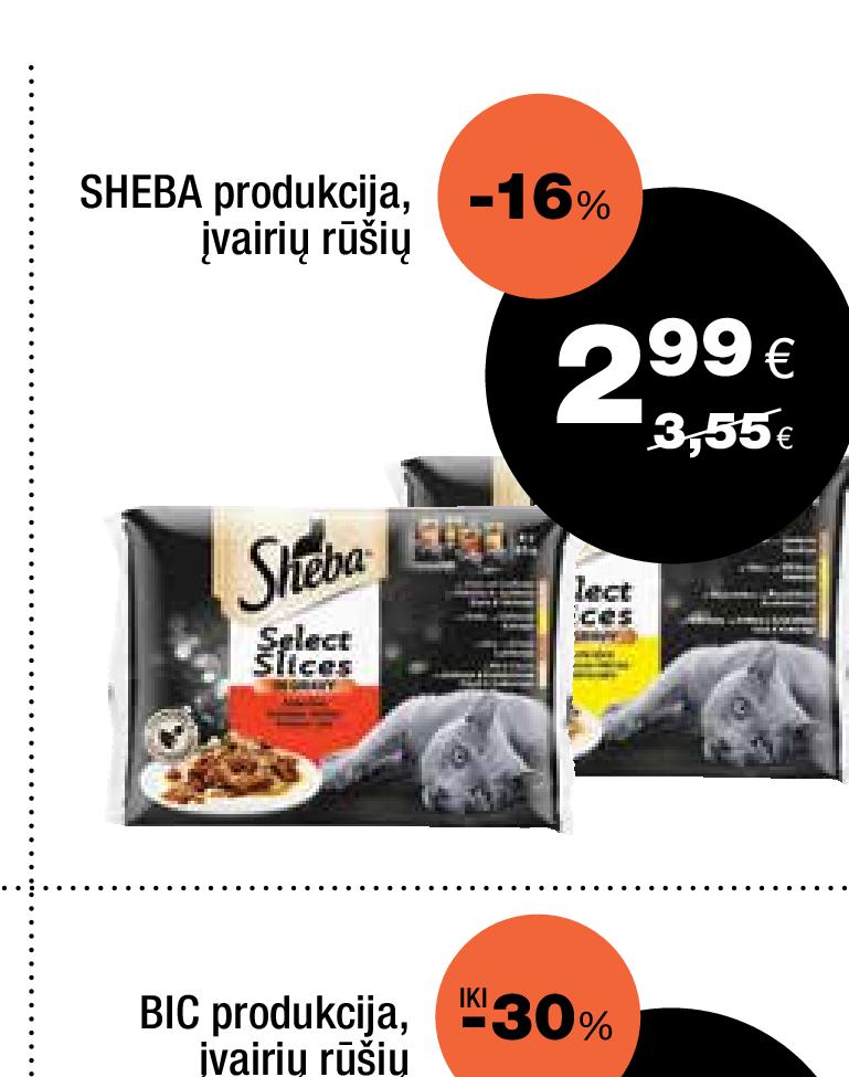 SHEBA produkcija